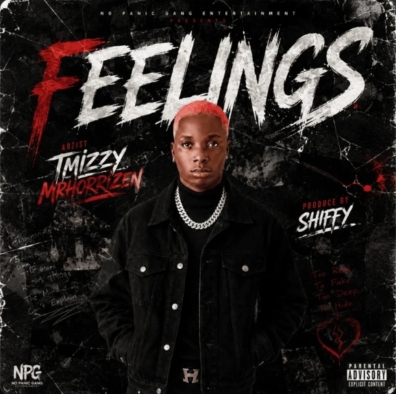T Mizzy Mrhorrizen – Feelings